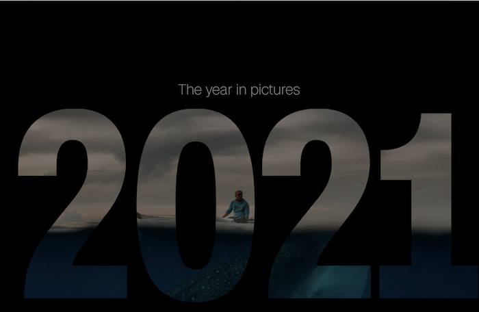 From the news agencies: 2021 In Pictures