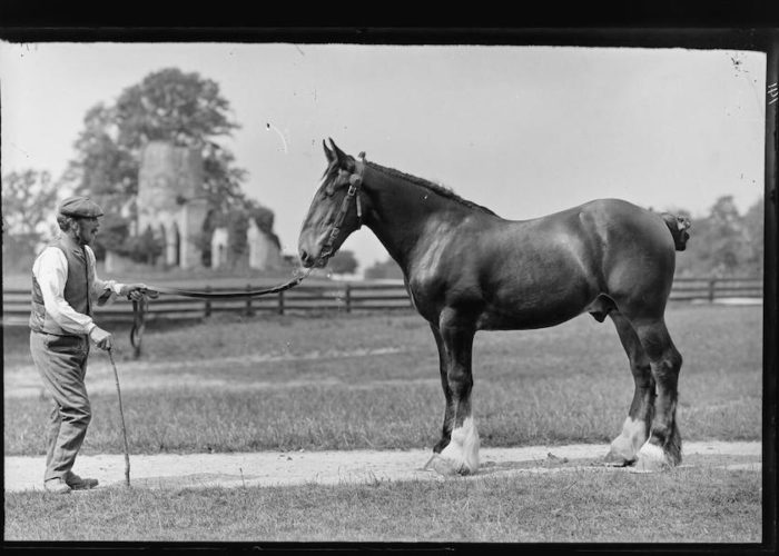 PAN exclusive: Future is digitising the Country Life photo archive –  view the early results