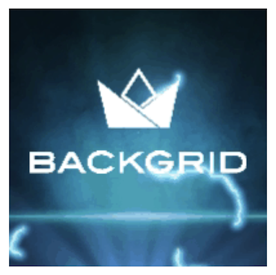 Job: Diary Co-ordinator and Sales Assistant – Backgrid UK
