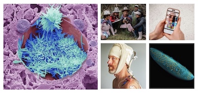 Entries now open: Wellcome Photography Prize 2027